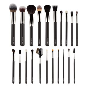 Pac – Platinum Series#2 (21 Brushes)