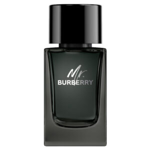 Burberry – Mr. Burberry Eau De Parfum (100ML)