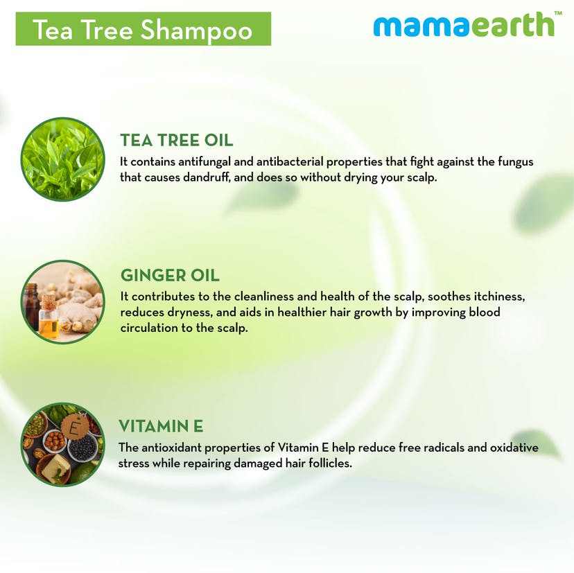 Mamaearth Tea Tree Shampoo for Dandruff Free Hair (250mL) - Image 7