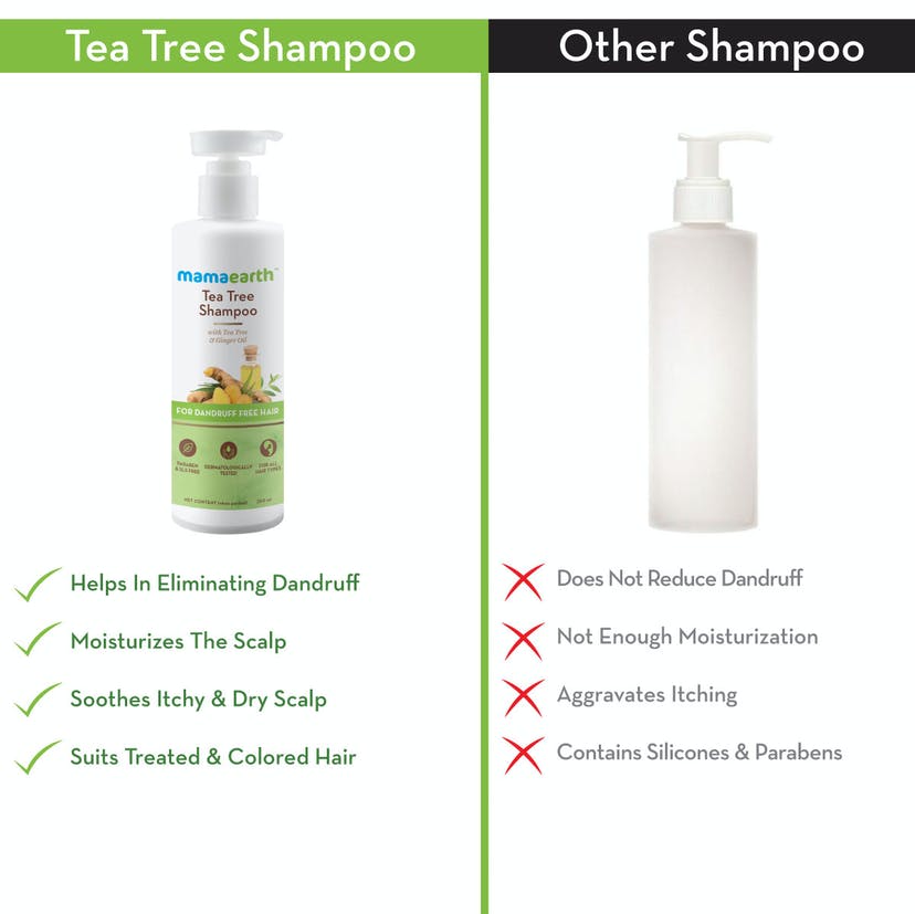 Mamaearth Tea Tree Shampoo for Dandruff Free Hair (250mL) - Image 10
