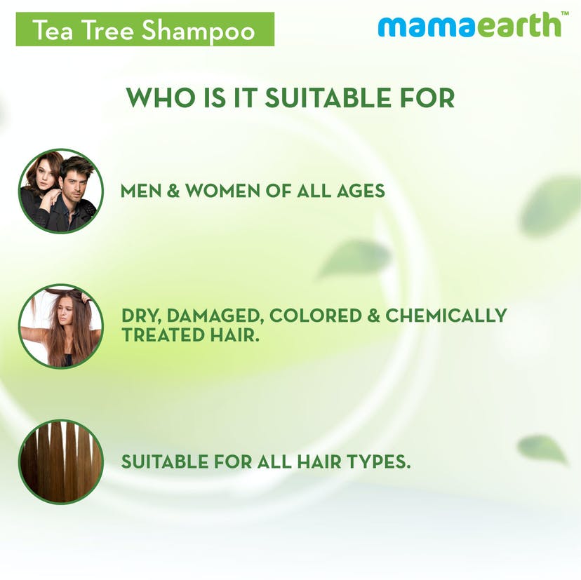 Mamaearth Tea Tree Shampoo for Dandruff Free Hair (250mL) - Image 9